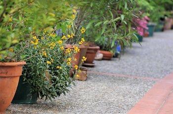 Maison Rives - Village Du Livre De Bed & Breakfast